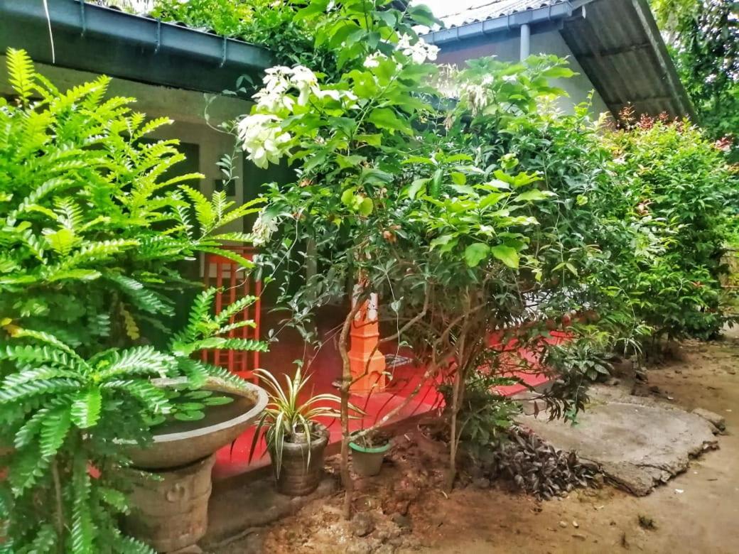 Senith Guest House Mirissa Εξωτερικό φωτογραφία