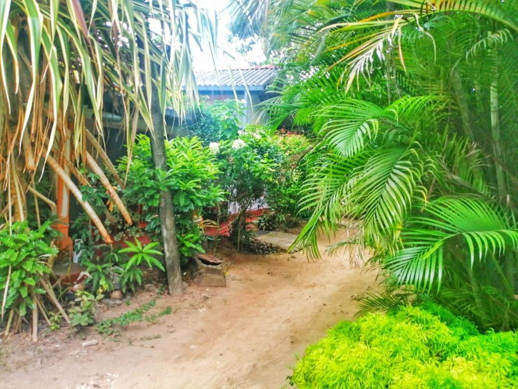 Senith Guest House Mirissa Εξωτερικό φωτογραφία